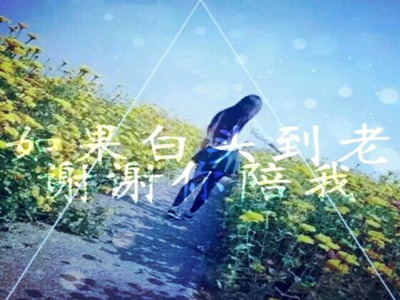 ysl唇釉06水蜜桃,美妆新宠：YSL唇釉，春日花海般的魅力！